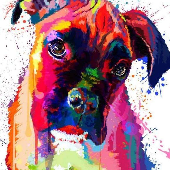 Meet your Posher, Stefanie - Picture 1 of 8